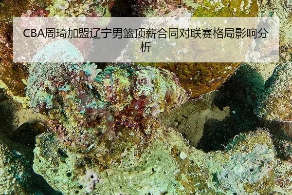 zhou-qi-jia-meng-liao-ning-nan-lan-ding-xin-he-tong-dui-lian-sai-ge-ju-ying-xiang-fen-xi-2-714.jpg