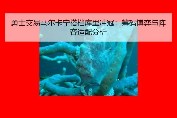 勇士交易马尔卡宁搭档库里冲冠：筹码博弈与阵容适配分析